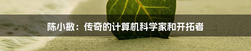 陈小敏：传奇的计算机科学家和开拓者