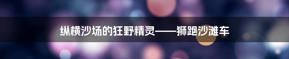 纵横沙场的狂野精灵——狮跑沙滩车