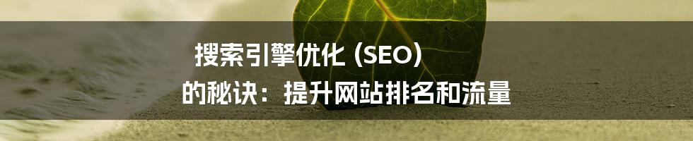 搜索引擎优化 (SEO) 的秘诀：提升网站排名和流量