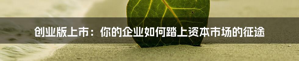 创业版上市：你的企业如何踏上资本市场的征途