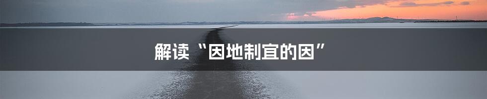 解读“因地制宜的因”