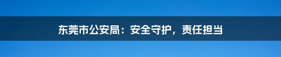 东莞市公安局：安全守护，责任担当