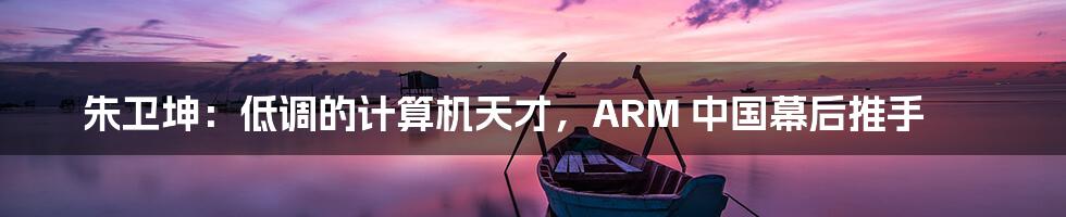 朱卫坤：低调的计算机天才，ARM 中国幕后推手