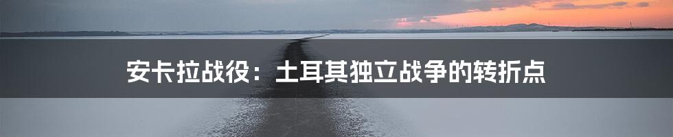 安卡拉战役：土耳其独立战争的转折点