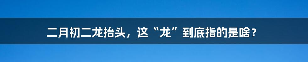 二月初二龙抬头，这“龙”到底指的是啥？