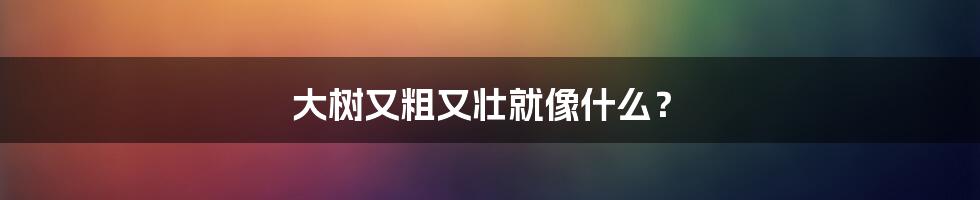 大树又粗又壮就像什么？