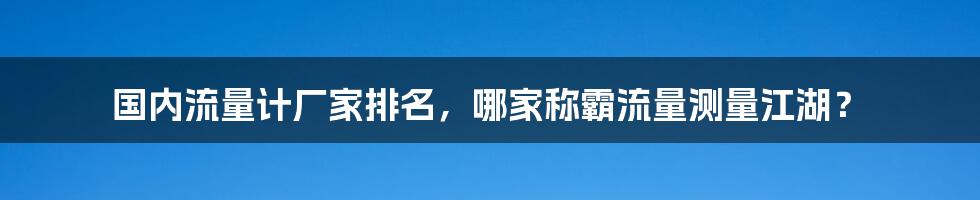 国内流量计厂家排名，哪家称霸流量测量江湖？