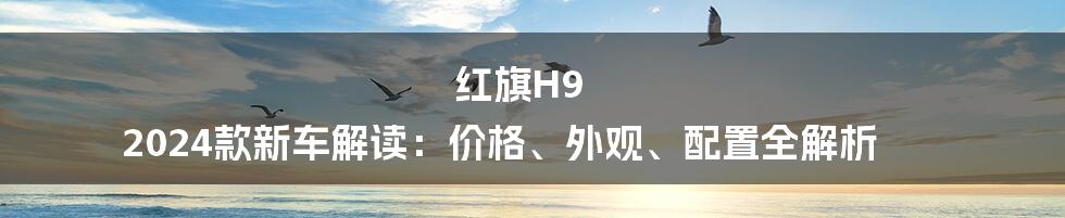 红旗H9 2024款新车解读：价格、外观、配置全解析