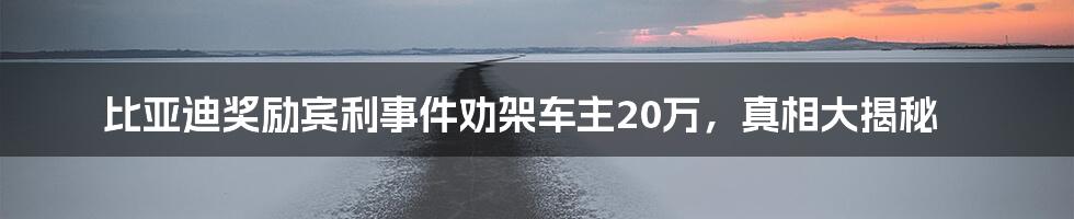 比亚迪奖励宾利事件劝架车主20万，真相大揭秘