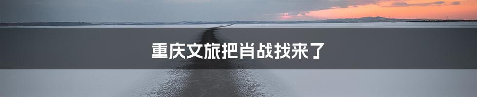 重庆文旅把肖战找来了