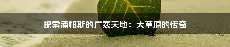 探索潘帕斯的广袤天地：大草原的传奇