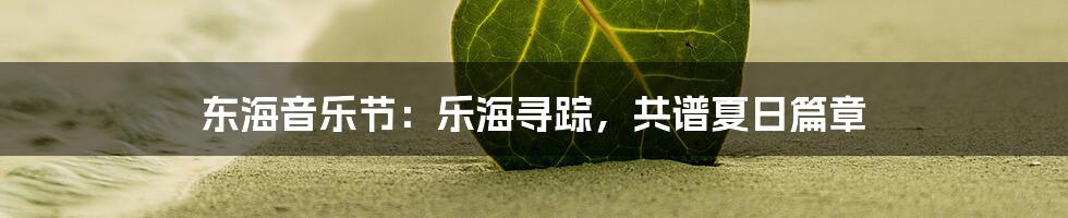 东海音乐节：乐海寻踪，共谱夏日篇章