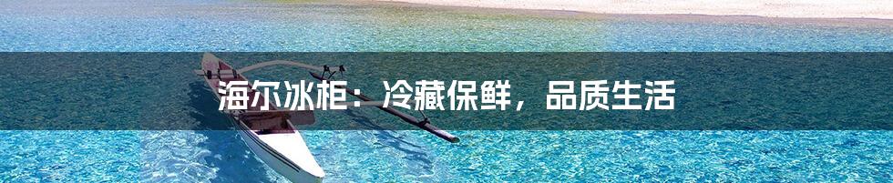 海尔冰柜：冷藏保鲜，品质生活