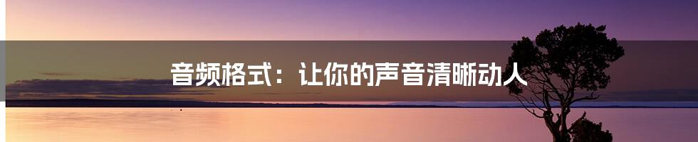 音频格式：让你的声音清晰动人