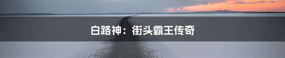 白路神：街头霸王传奇