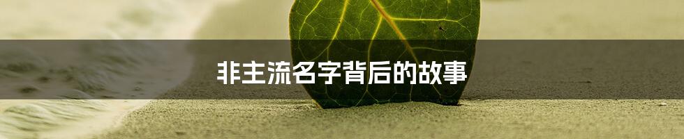 非主流名字背后的故事