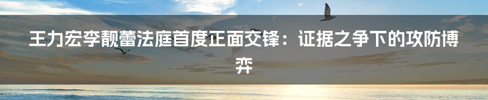 王力宏李靓蕾法庭首度正面交锋：证据之争下的攻防博弈