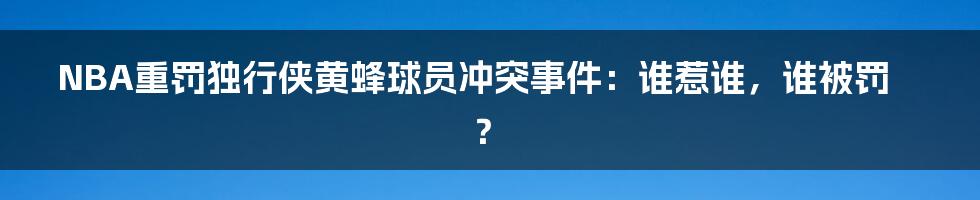 NBA重罚独行侠黄蜂球员冲突事件：谁惹谁，谁被罚？