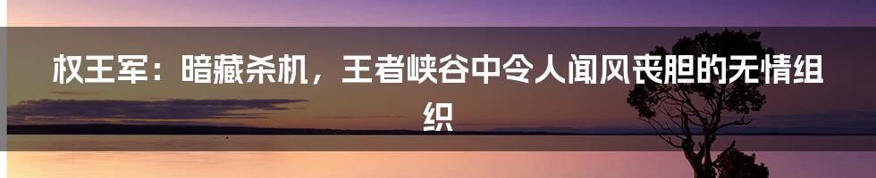 权王军：暗藏杀机，王者峡谷中令人闻风丧胆的无情组织