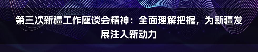 第三次新疆工作座谈会精神：全面理解把握，为新疆发展注入新动力