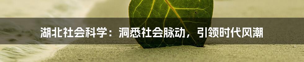 湖北社会科学：洞悉社会脉动，引领时代风潮