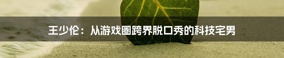 王少伦：从游戏圈跨界脱口秀的科技宅男