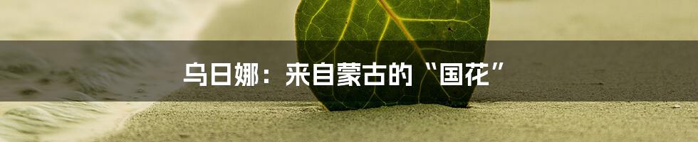 乌日娜：来自蒙古的“国花”