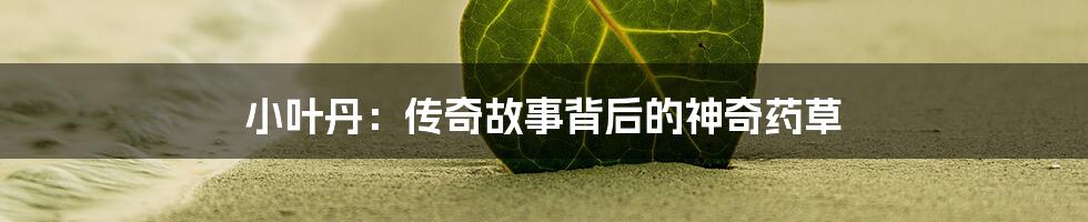 小叶丹：传奇故事背后的神奇药草