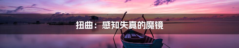 扭曲：感知失真的魔镜