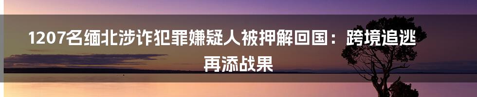 1207名缅北涉诈犯罪嫌疑人被押解回国：跨境追逃再添战果