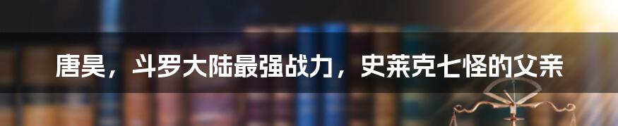 唐昊，斗罗大陆最强战力，史莱克七怪的父亲