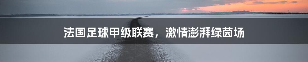 法国足球甲级联赛，激情澎湃绿茵场