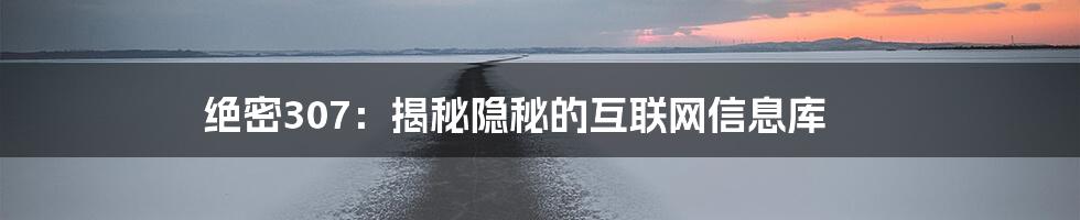 绝密307：揭秘隐秘的互联网信息库