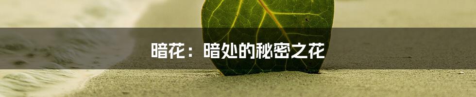 暗花：暗处的秘密之花