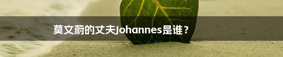 莫文蔚的丈夫Johannes是谁？