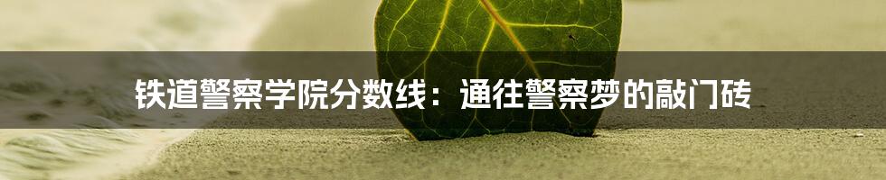 铁道警察学院分数线：通往警察梦的敲门砖