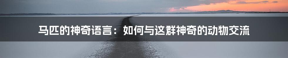 马匹的神奇语言：如何与这群神奇的动物交流