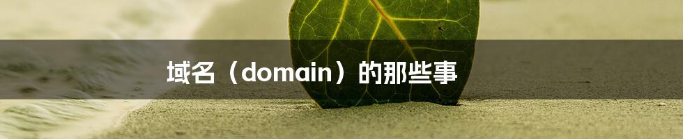 域名（domain）的那些事