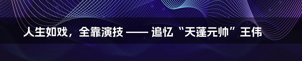 人生如戏，全靠演技 —— 追忆“天蓬元帅”王伟