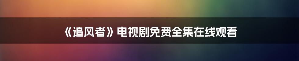 《追风者》电视剧免费全集在线观看