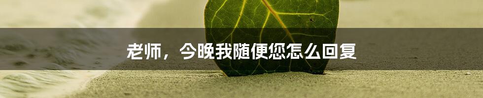 老师，今晚我随便您怎么回复