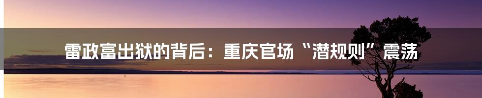 雷政富出狱的背后：重庆官场“潜规则”震荡