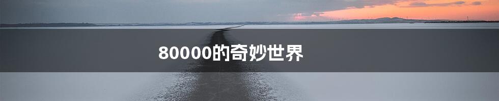 80000的奇妙世界