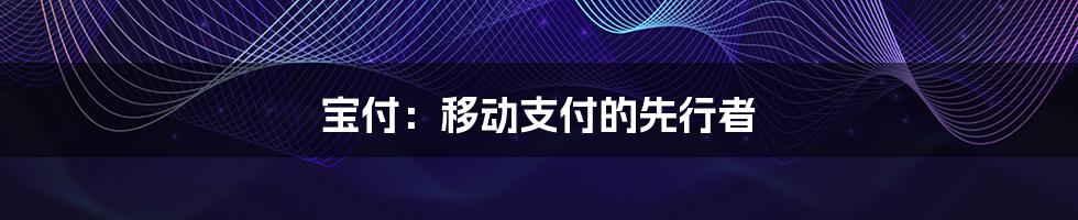 宝付：移动支付的先行者