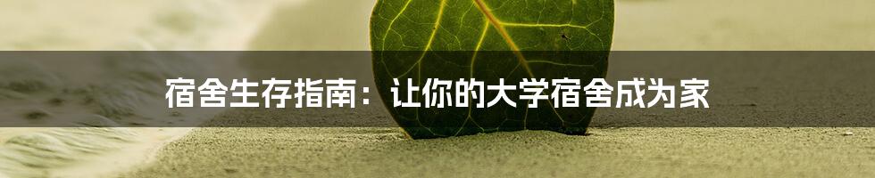 宿舍生存指南：让你的大学宿舍成为家