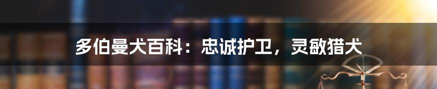 多伯曼犬百科：忠诚护卫，灵敏猎犬