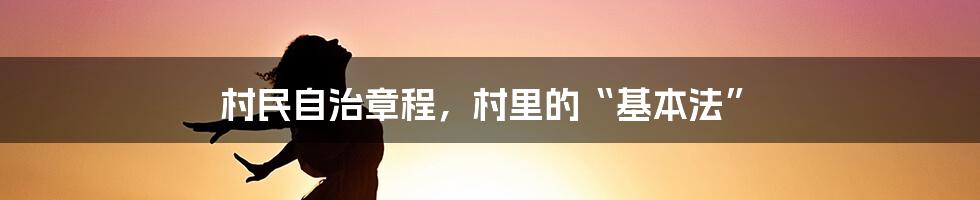 村民自治章程，村里的“基本法”