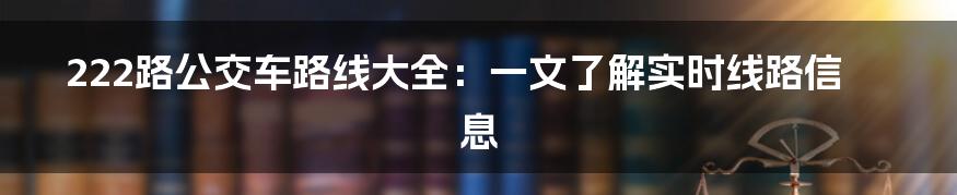 222路公交车路线大全：一文了解实时线路信息