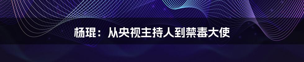 杨琨：从央视主持人到禁毒大使