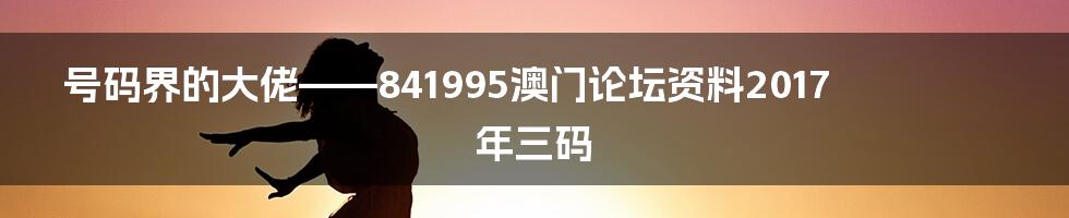 号码界的大佬——841995澳门论坛资料2017年三码